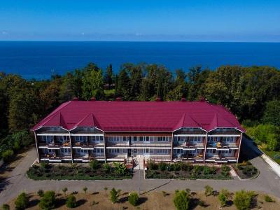 Буревестник