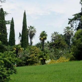 Буревестник | Фото 5