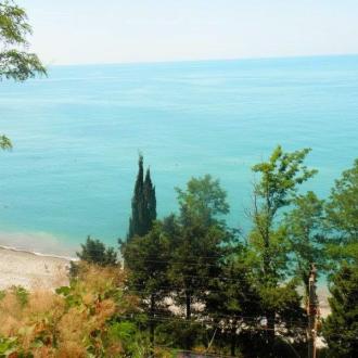 Буревестник | Фото 6