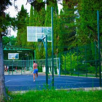 Буревестник | Фото 4