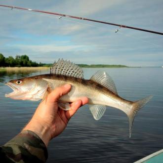Загородный Комплекс Иксленд | Фото 6