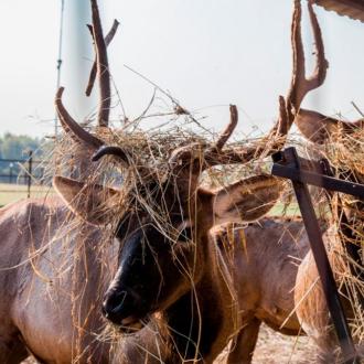 Загородный Комплекс Иксленд | Фото 7