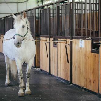 Конно-спортивный Клуб Яменская Усадьба | Фото 6