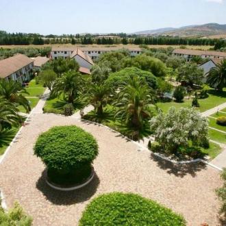 Pinocchio Camp | Фото 3