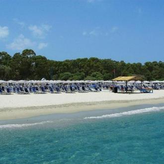 Pinocchio Camp | Фото 8