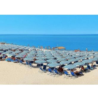 Pinocchio Camp | Фото 9