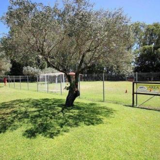 Pinocchio Camp | Фото 12