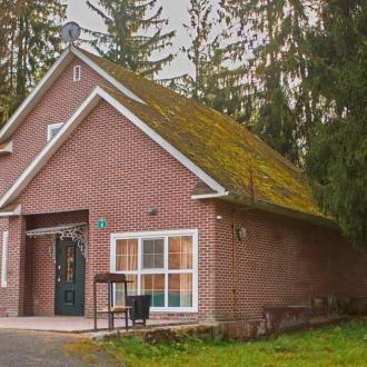 Лесная Сказка | Фото 1