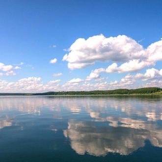 Лесная Сказка | Фото 2