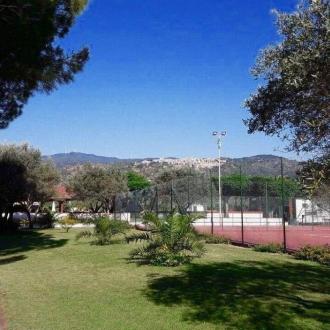 Pinocchio Camp | Фото 13