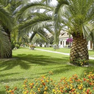 Pinocchio Camp | Фото 21