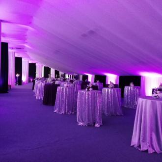 Спорт Палас | Фото 13