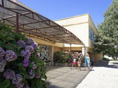 ДСЛ  Росица