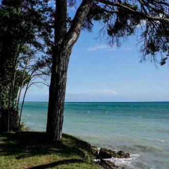 Лагуна | Фото 1