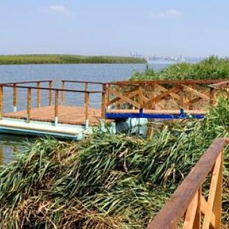 Конная База Озеро Парк | Фото 5