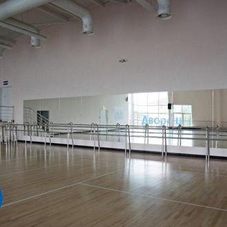 Дворец Спорта Егорьевск  | Фото 12