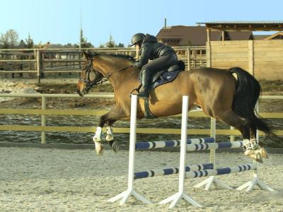 Грин Клаб Фемили В Ступино 