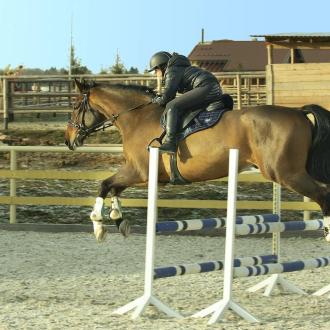 Грин Клаб Фемили В Ступино  | Фото 1