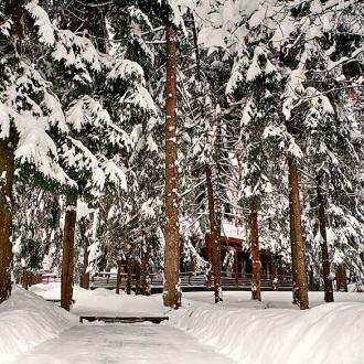 База Отдыха Босиком | Фото 15