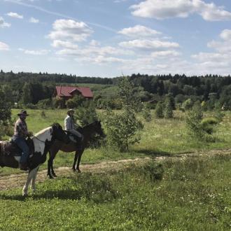 Караван | Фото 3