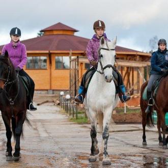 Караван | Фото 4
