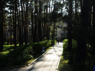 ДОЛ  Бауманец