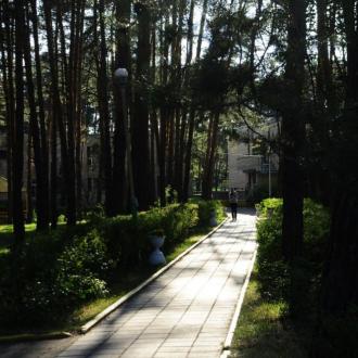 ДОЛ  Бауманец | Фото 1