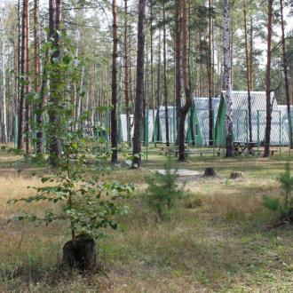 Зеленый Бор | Фото 6