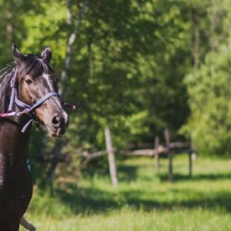 Палисад Резорт | Фото 7