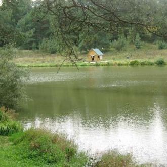 Русичи | Фото 10