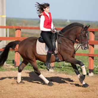 Веслево Клуб | Фото 6