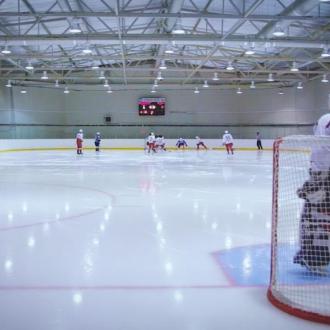 Зарайский Ледовый Дворец | Фото 3