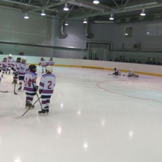 Зарайский Ледовый Дворец | Фото 4