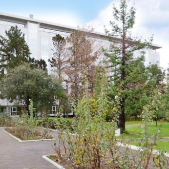 Санаторий Изумруд В Краснодарском Крае | Фото 3