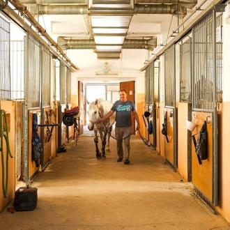 Пансионат Буревестник | Фото 7