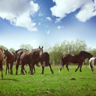 Спортивная База Чукавино | Фото 16