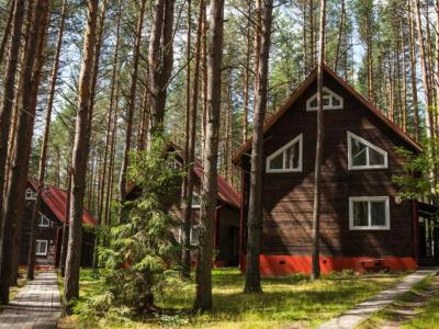 Спортивный парк-отель Ягодная Деревушка