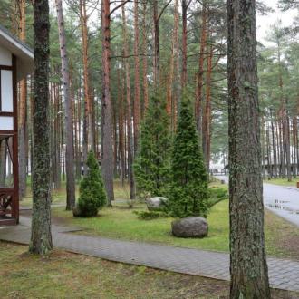 Спортивная База Плесков | Фото 19