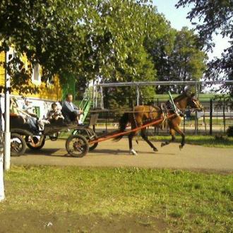 ДОЛ  Черемушки В Уфе | Фото 15