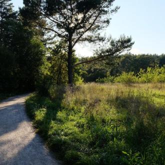 Санаторий Переделкино В Подмосковье | Фото 36