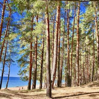 Пансионат Балтиец | Фото 32