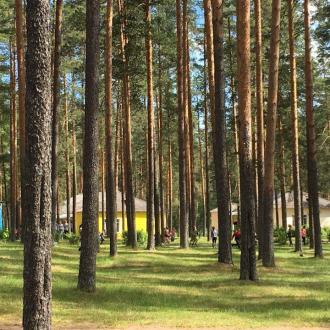 ДОЛ  Огонек | Фото 16