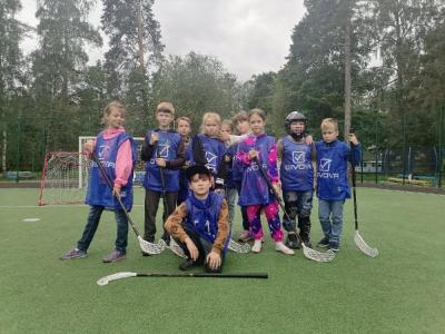 ДОЛ  Лесная Сказка