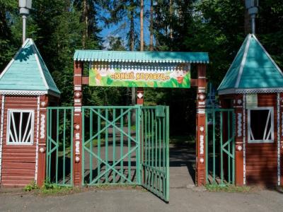 ДОЛ  Юный Кировец