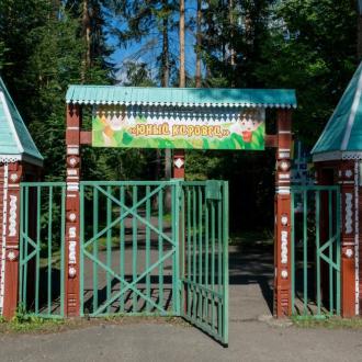 ДОЛ  Юный Кировец | Фото 1