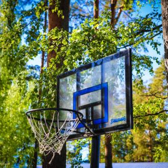 ДОЛ  Чайка | Фото 12