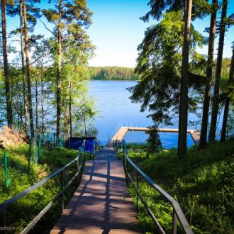 ДОЛ  Чайка | Фото 22