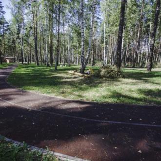 ДОЛ  Лукоморье В Липецкой Области | Фото 2