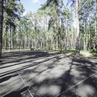 ДОЛ  Лукоморье В Липецкой Области | Фото 5