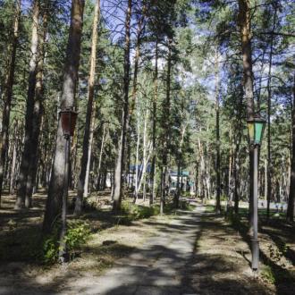 ДОЛ  Лукоморье В Липецкой Области | Фото 11